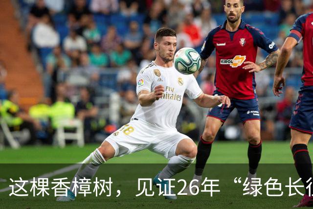 这棵香樟树，见证26年“绿色长征”